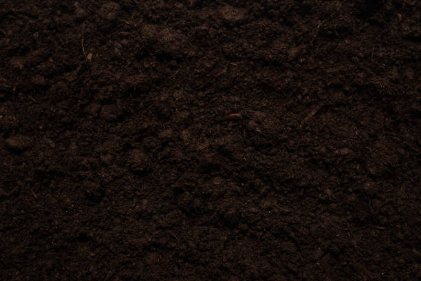 istock Black land for plant background. 1281580585