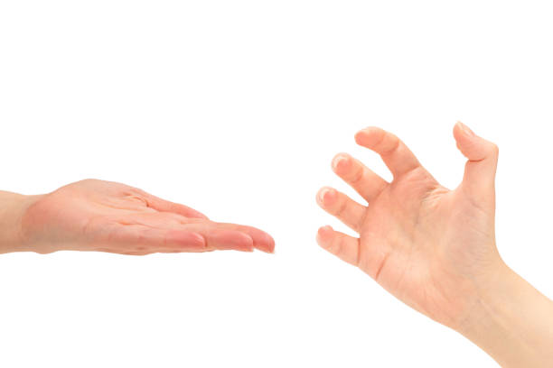istock Hand of woman isolated on white 1281580592