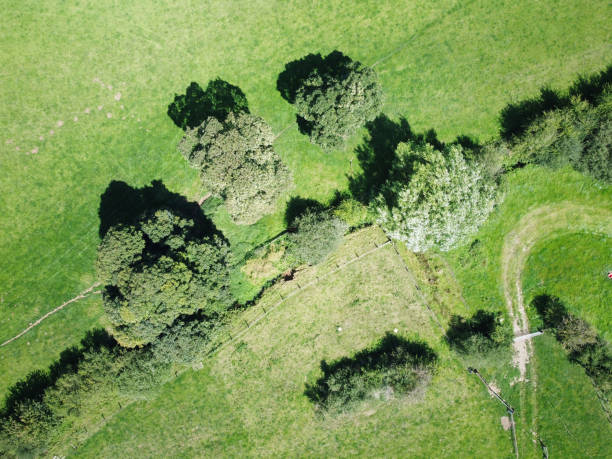 istock birds eye view of the earth below 1281581327