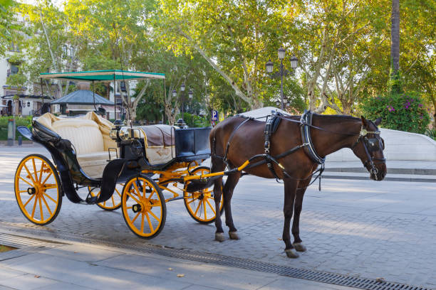 istock Harnessed horse resting while waiting for tourists in Seville 1281581839
