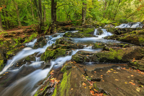 istock Selke waterfall with moss-covered rocks in the Harz Mountains 1281585203