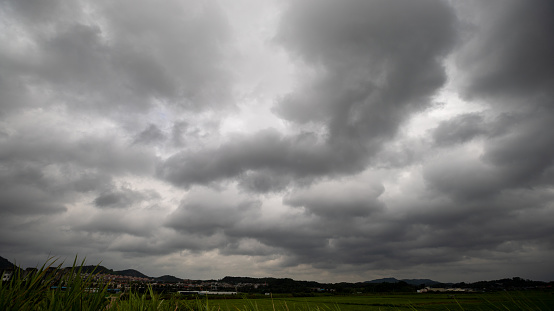 A black cloud that drives a typhoon