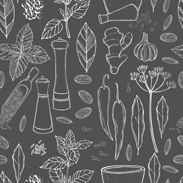 przyprawy i zioła. wzór wektorowy. - allspice ingredient backgrounds variation stock illustrations