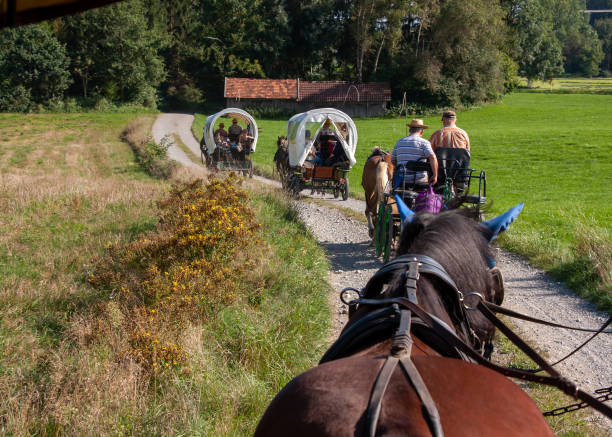 istock Exit of several horse-drawn carriages from the view of the coach 1281588213