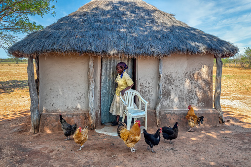 African woman in the village in front of her house chickens around