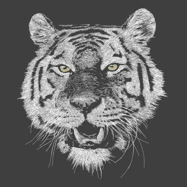 Vector illustration of Bangal tiger Smile Growl.