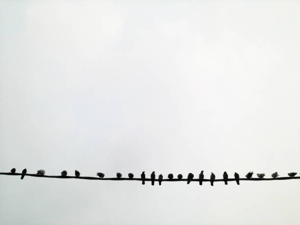 Photo taken in Petaling Jaya, Malaysia