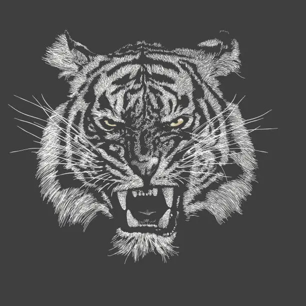 Vector illustration of Angry Tiger