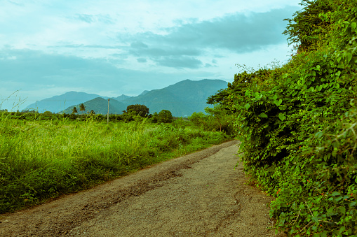 Country road in indian rural place.