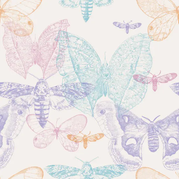 Vector illustration of Moths & Butterflies Seamless Repeat Pattern