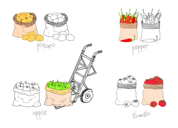Harvesting collection. Fruits and vegetables in canvas bags with a trolley. Hand drawn vector cartoon collection Harvesting collection. Fruits and vegetables in canvas bags with a trolley. Hand drawn vector cartoon collection. Black and white and colored pallet jack handle stock illustrations