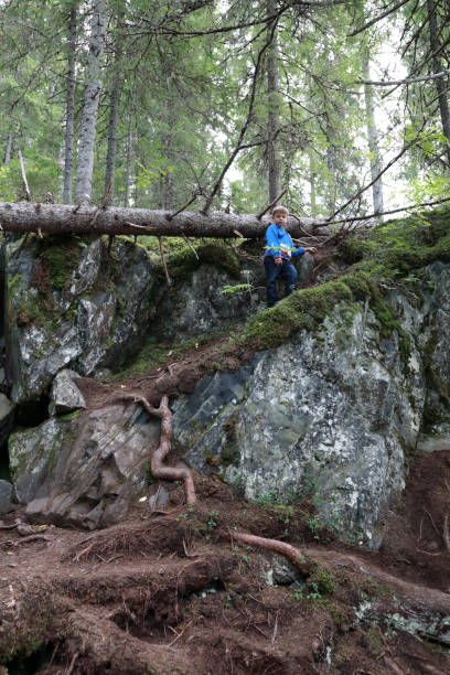 istock Child in summer forest 1281594517
