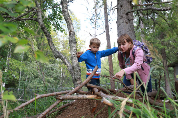 istock Mother and son examine anthill 1281594524