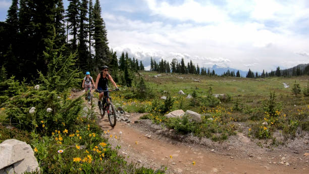 istock Female mountain bikers ride along alpine trail 1281594777