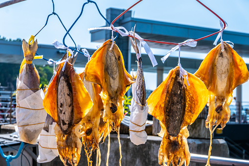 Home-dried squid and fish