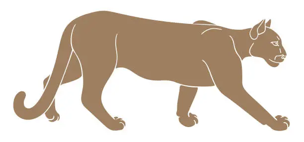 Vector illustration of Cougar silhouette