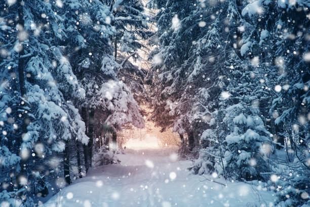 istock Road in snowy winter on beautiful sunny day 1281600053