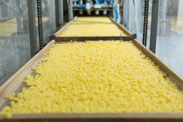 istock Line for the production of pasta. 1281600995