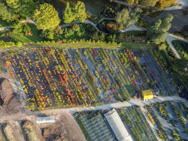 istock seedlings different plants on farm drone view 1281602423