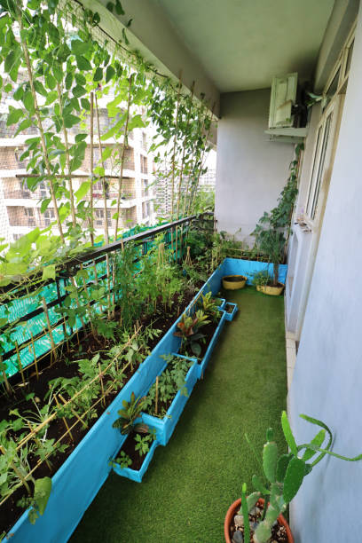 istock Image of residential balcony, Ghaziabad, India, designed with artificial grass turf and raised bed, vegetable garden, pigeon anti-bird netting 1281604006