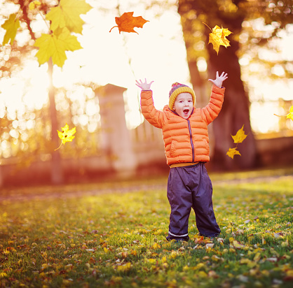 Child standing in park in beautiful autumnal day. Boy playing outdoors yellow maple leaves falling down