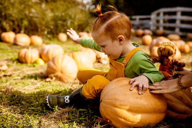istock Little Boy in Pumpkin pitch 1281609177