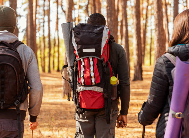 istock Closeup of three backpackers walking by pine forest 1281611258