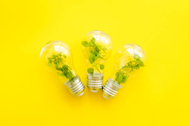istock Energy saving light bulb with green plant inside, top view 1281613687