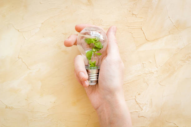 istock Hand holds light bulb with grass inside - green energy concept, top view 1281614941
