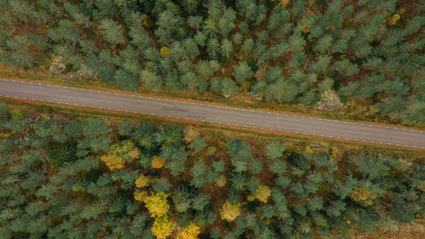 istock View of forest and sky landscape in autumn drone image 1281616805