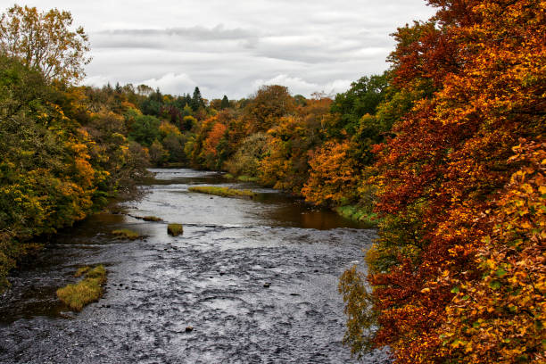 istock Autumn at the River Ayr 1281619503