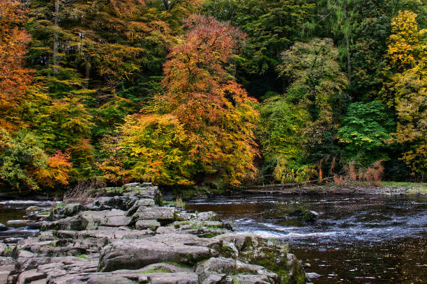 istock Autumn colours along the shoreline 1281620099