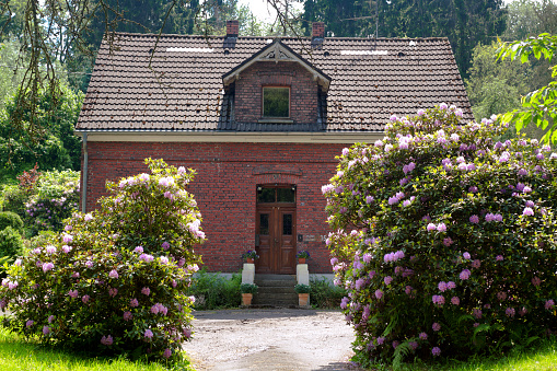 Old brick house in Essen Kettwig with garden. A pathway os leading to small house. Behind hosue are trees. In foreground are rhododendron plants in blossom. Building is in southern outskirts of Kettwig