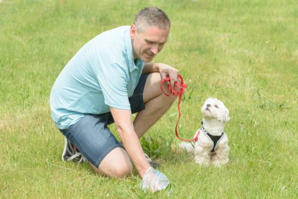 istock Picking up dog poop 1281625915