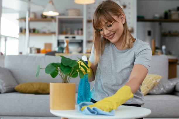 istock Young attractive woman cleaning home. 1281629138