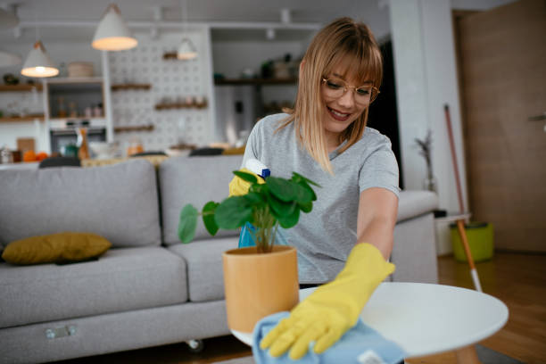 istock Young attractive woman cleaning home. 1281630077