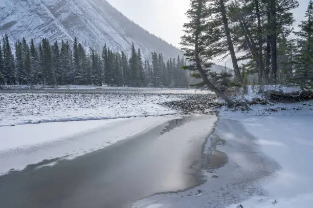 Falling snow on the Bow River at the town of Banff, Alberta, Canada