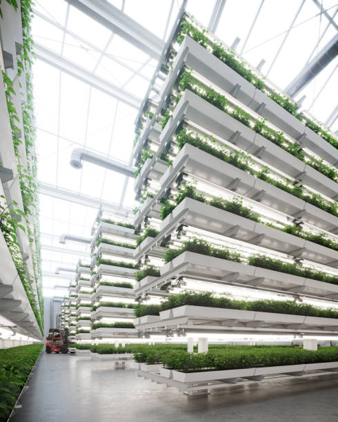 grande fattoria verticale all'interno di un'immagine serra generata digitalmente - plant food agriculture growth foto e immagini stock