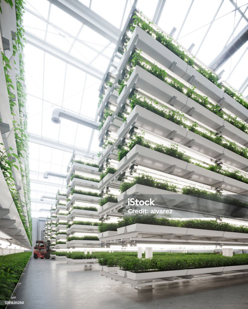 Large vertical farm inside a greenhouse image generated digitally Digital image of a large vertical farm contained inside a greenhouse Vertical Farming Stock Photo