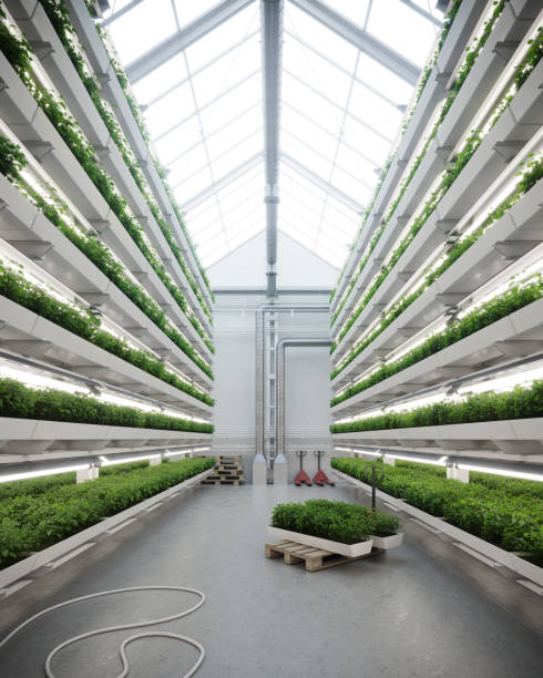 istock Digital image of a vertical farm greenhouse 1281634267
