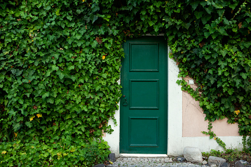 white front door of a house