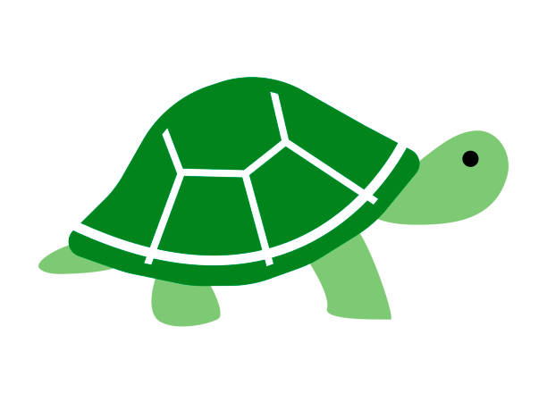 schildkrötensymbol - landschildkröte stock-grafiken, -clipart, -cartoons und -symbole