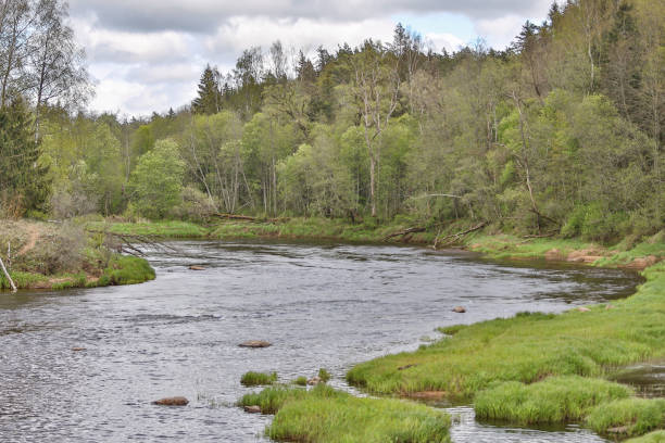istock Landscape view of river Gauja on a warm, cloudy spring day. 1281635582