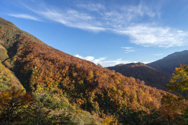 istock moutain in autumnal colors. (Japan - Nagano - Mt.Amakazari) 1281635879