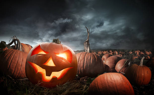 istock Spooky Halloween Pumpkin Field At Night 1281635880
