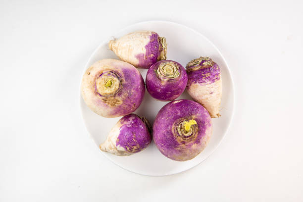 Freshly harvested spring turnips, Brassica rapa, on white background, France