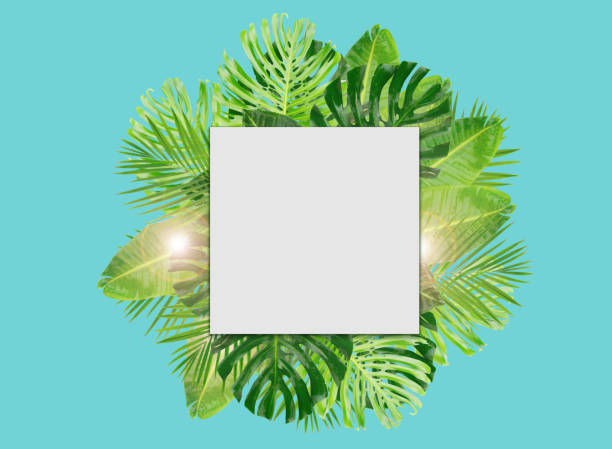 istock Tropical green leaves 1281637431