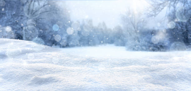 istock Snow background with snow drifts and forest 1281637533
