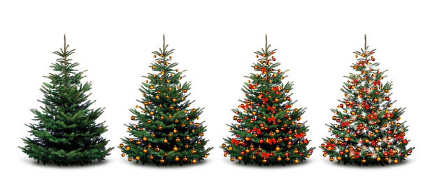 白い背景にカラフルに装飾されたクリスマスツリー - fir tree ストックフォトと画像