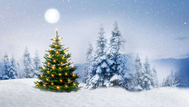 istock Shiny Christmas tree in a snowy winter forest 1281640514